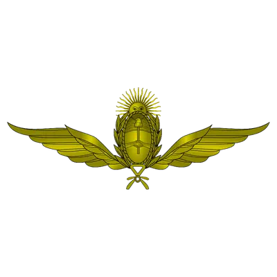 FUERZA AREA ARGENTINA- A Asociados Argentina
