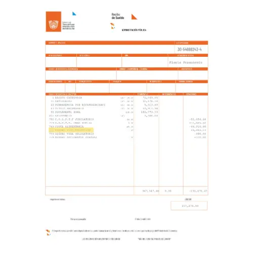 RECIBO DE SUELDO PROVINCIA DE TIERRA DEL FUEGO